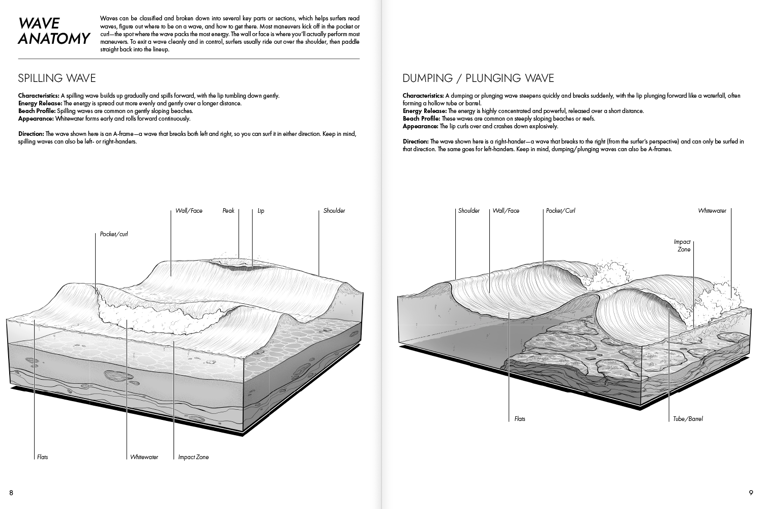 The Intermediate Surf Companion | 4th Edition