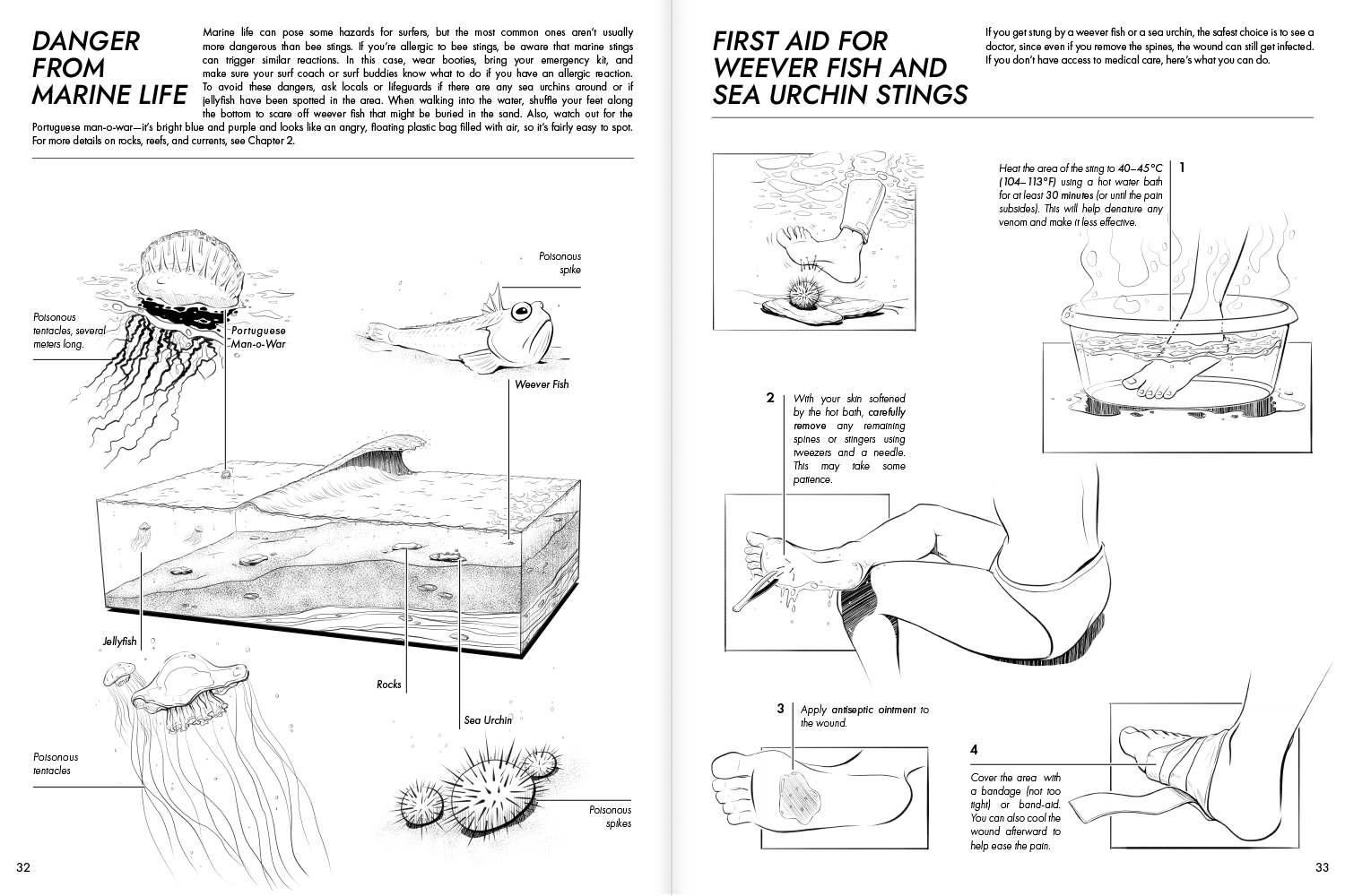 The Beginners Surf Companion | 2nd Edition